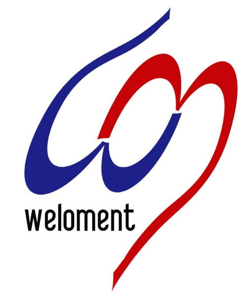 上海維在網(wǎng)絡(luò)科技